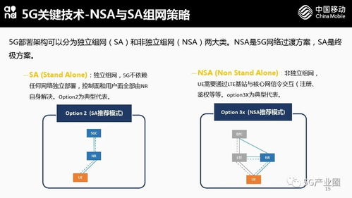 5G網(wǎng)絡(luò)技術(shù)與應(yīng)用前瞻