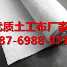 土工格柵 現(xiàn)代工程建設(shè)中的隱形守護(hù)者